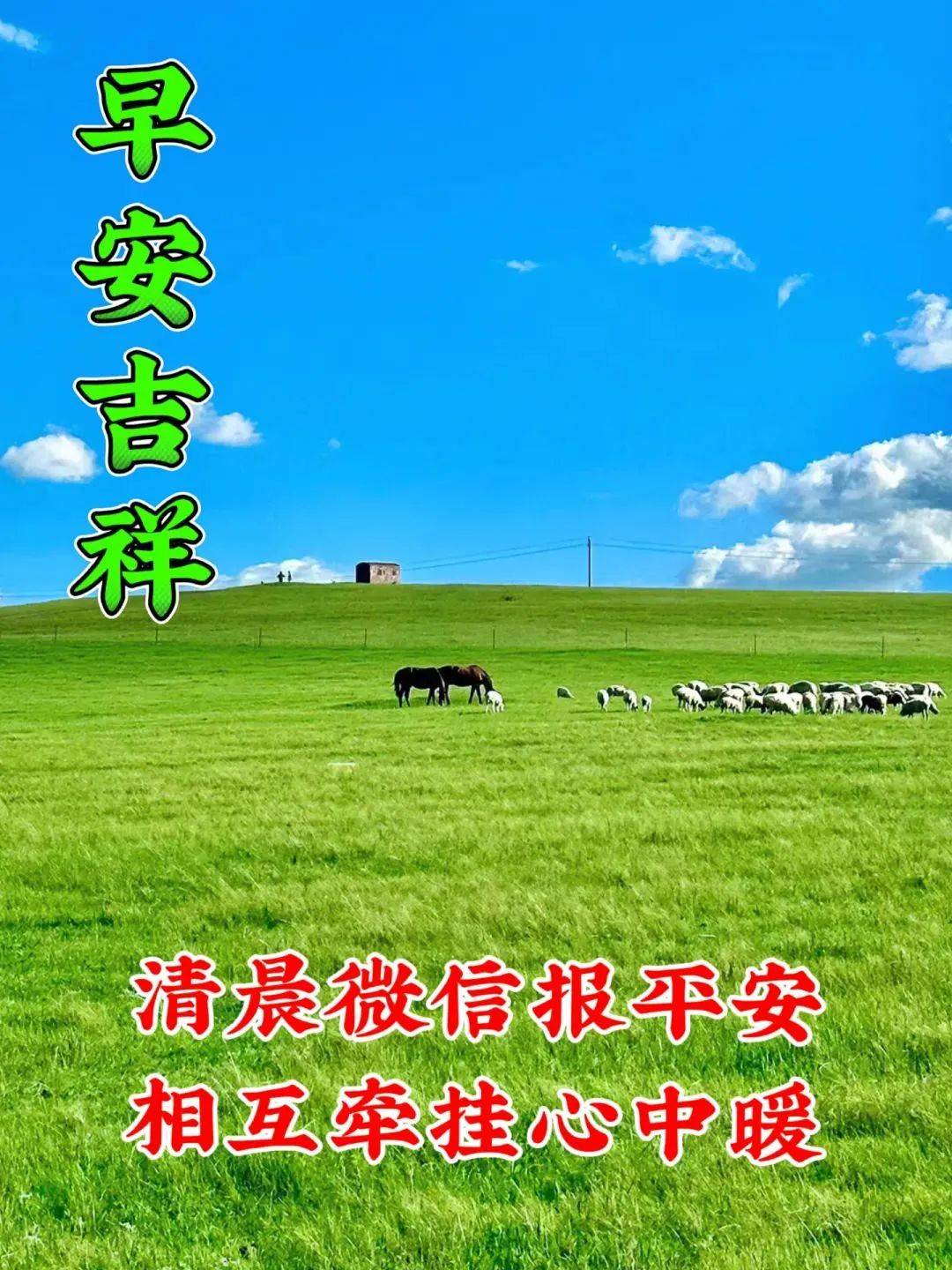 藏在“忠”里的温柔丨那些不说出口却最真的情话