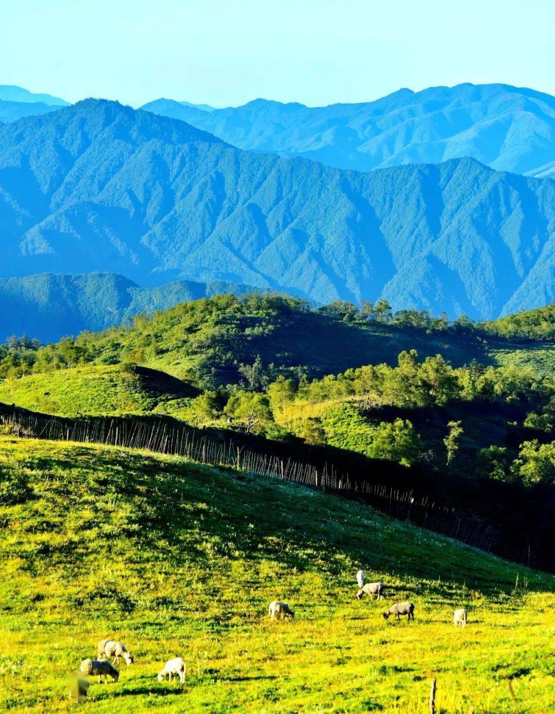 杨思琪没骗我!大凉山真的很美