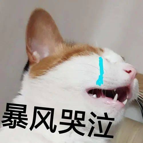 3年禁止入境，中国留学生被遣返，只因行李箱有这个……