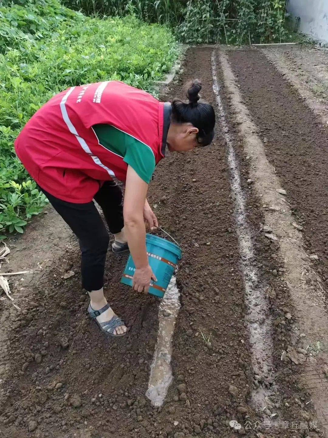 北京中醫醫院柴嵩巖知名專家團隊成員代掛號跑腿服務，貼心為您服務的簡單介紹