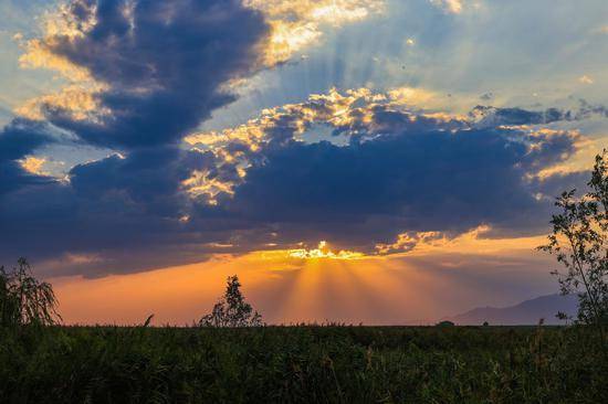新疆那拉提国家湿地公园:湿地上空邂逅"醉"美晚霞