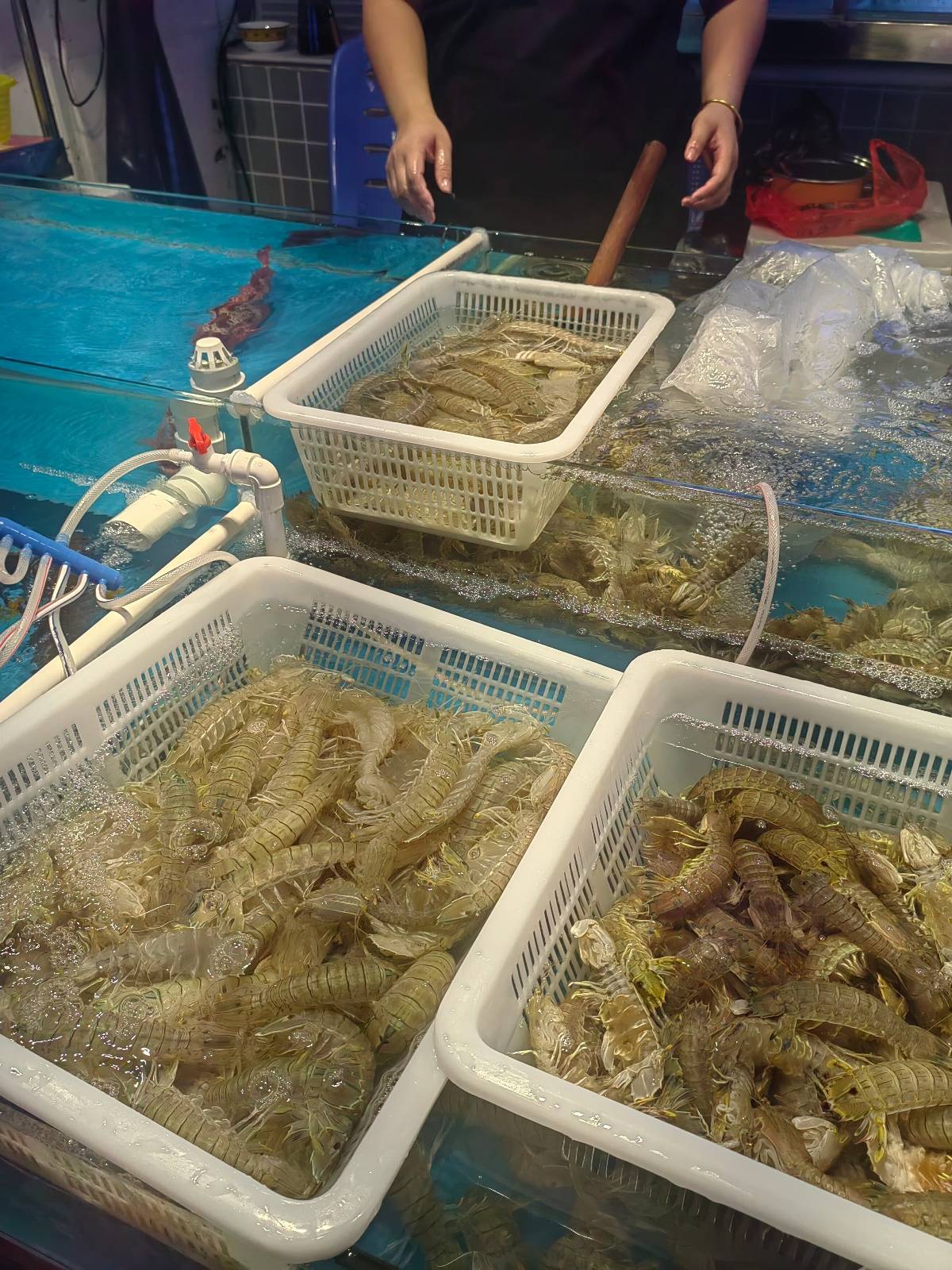 开渔后的广东湛江水产品市场:虾类较往年更便宜