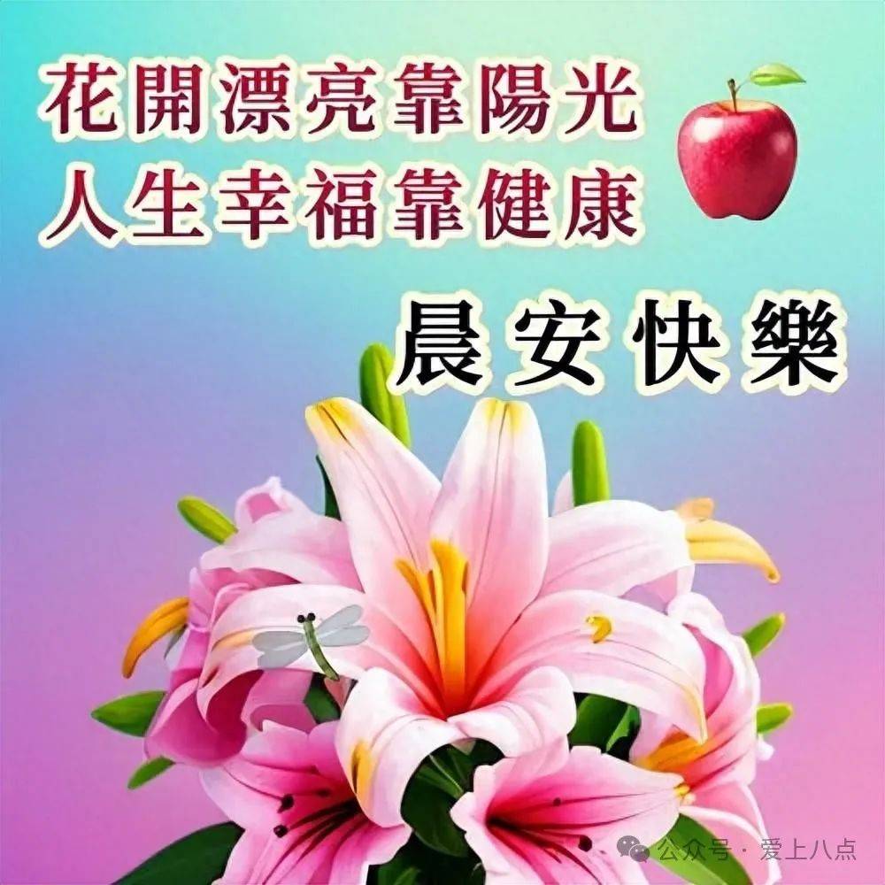 中老年早上好表情包大全