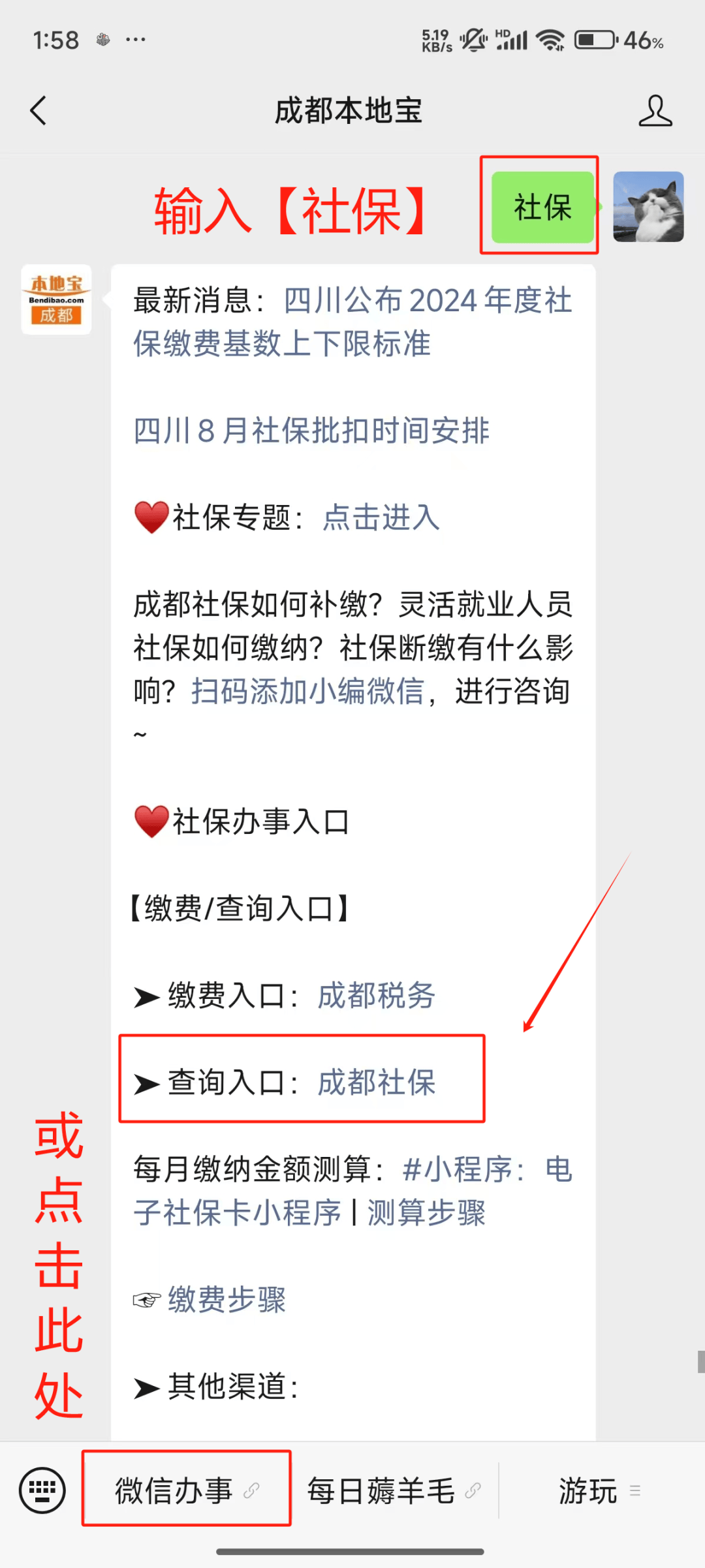 怎么查询个人社保(查个人社保缴费记录查询)