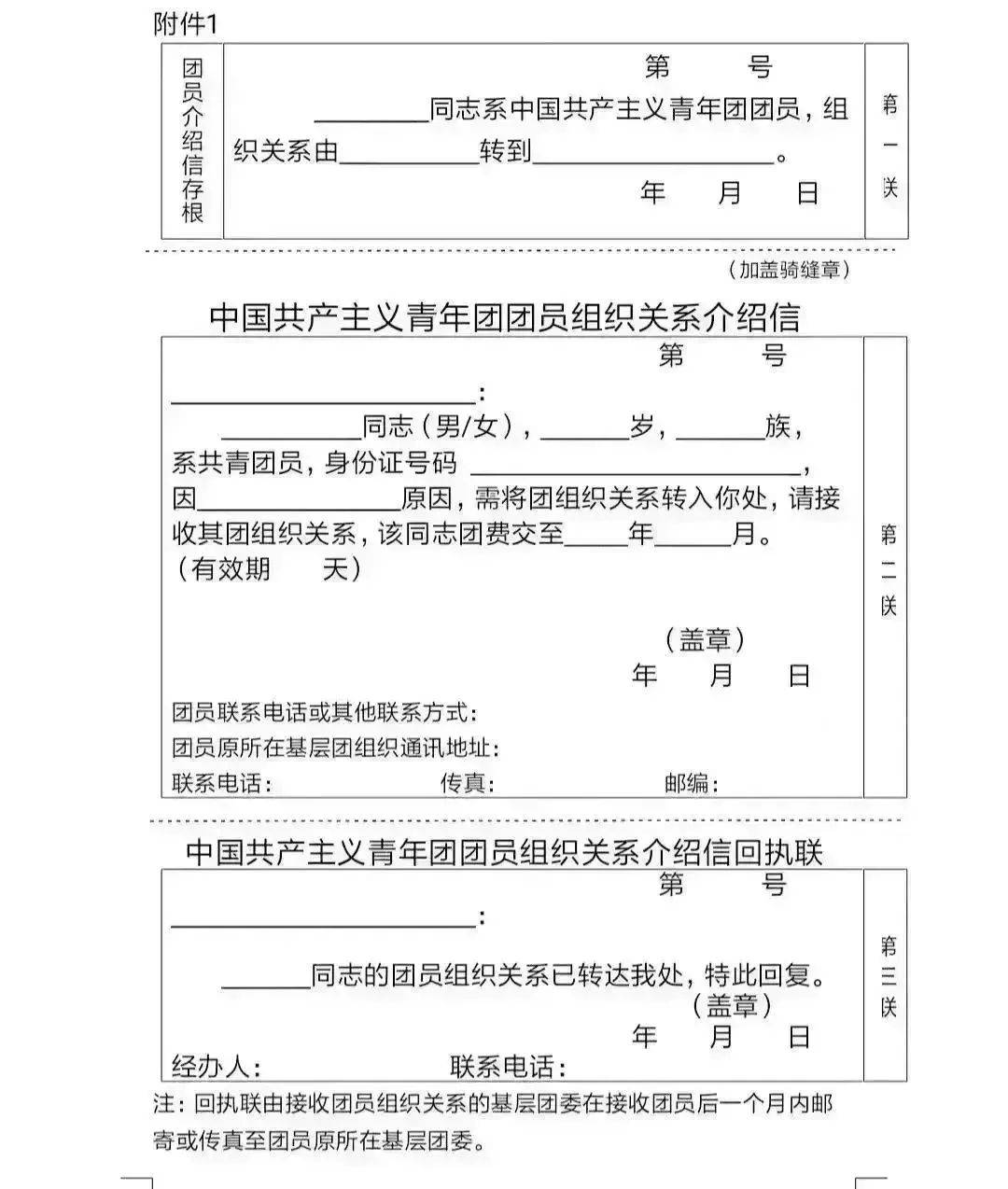 入团申请书格式信纸图片