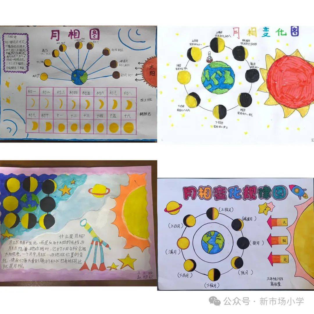 新市场小学教育集团科学暑假作业阶段性展示来啦~