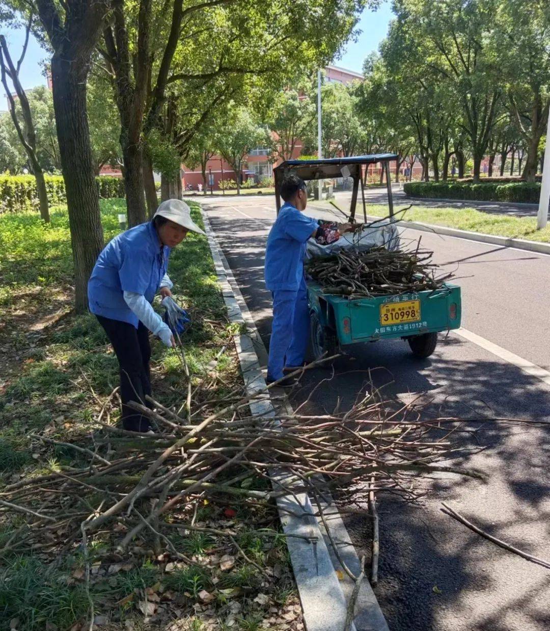 哈尔滨绿化工人图片