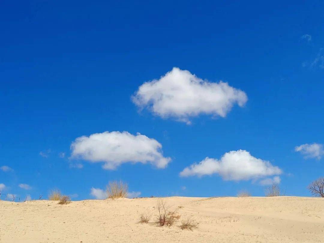 秋天，总要去一次内蒙吧，草原不止有绿色~