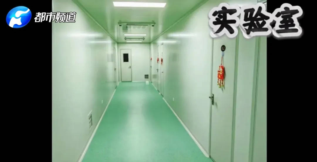 青岛代孕实验室_青岛代孕机构调查_马来西亚代孕价格