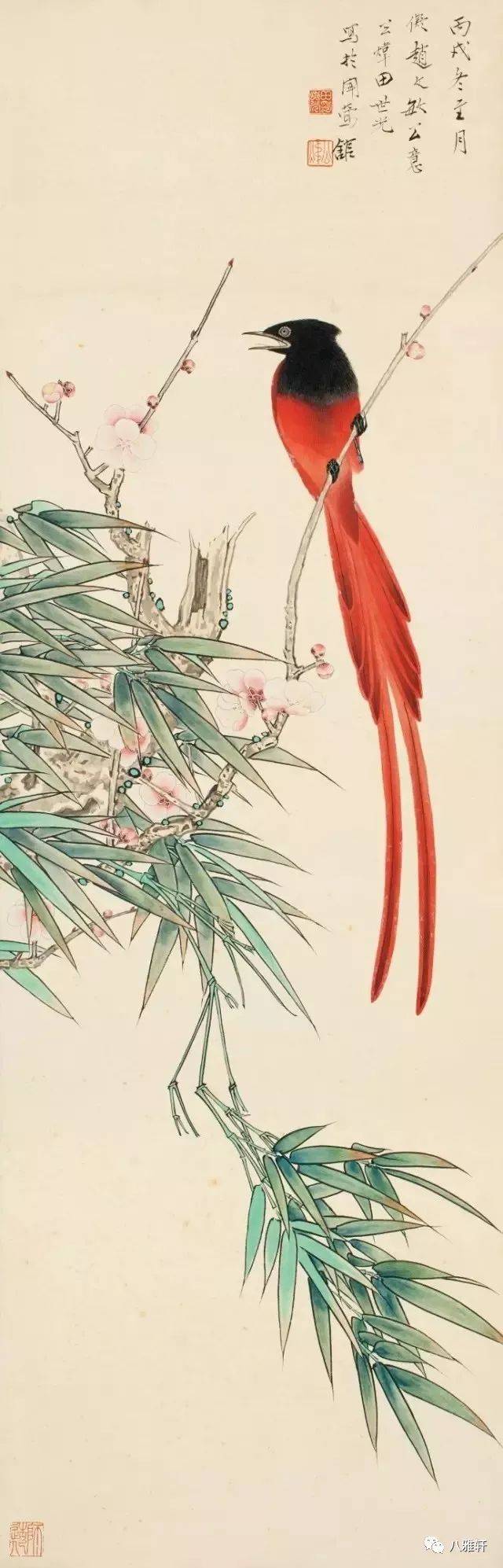 八雅轩丨【八雅丹青】田世光工笔花鸟大全,张张精彩!