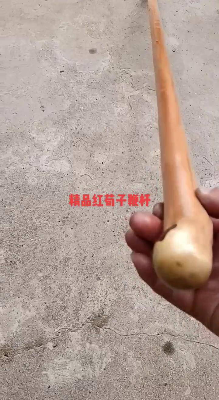 西北鞭杆大全图片