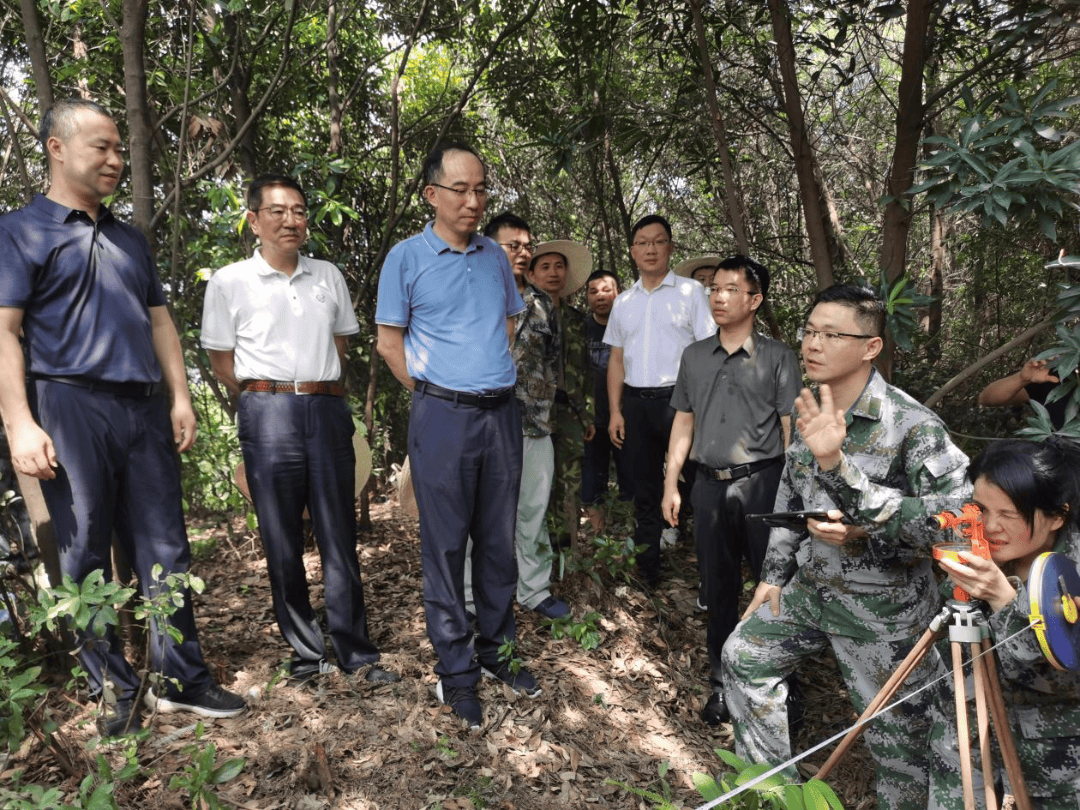 争优争先争效 | 福建省林业局领导赴罗源县督导森林草原湿地荒漠化