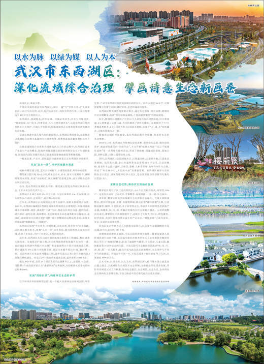 武汉市东西湖区：深化流域综合治理 擘画诗意生态新画卷