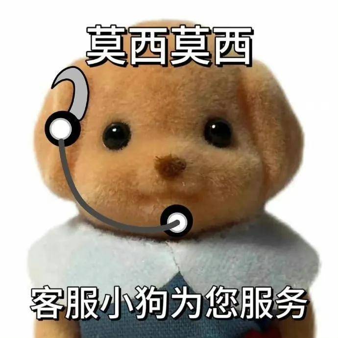 刷信誉违法吗_刷信誉扫码支付_扫码支付刷信用卡