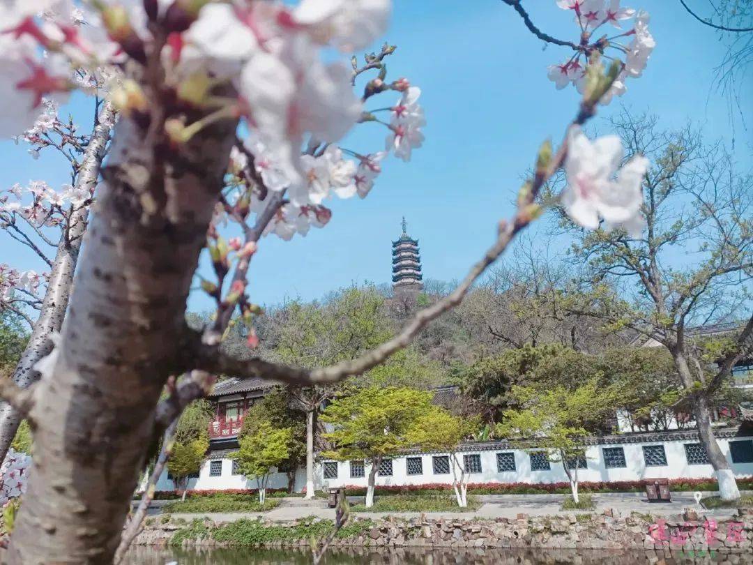 开学季，收好这份镇江旅游地图！-第6张图片-旅游攻略网