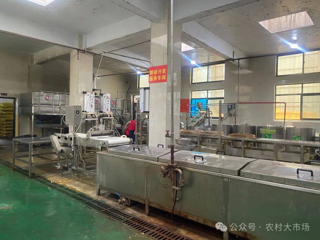 今日播出|洛南:"小豆腐"提振县域"大经济"