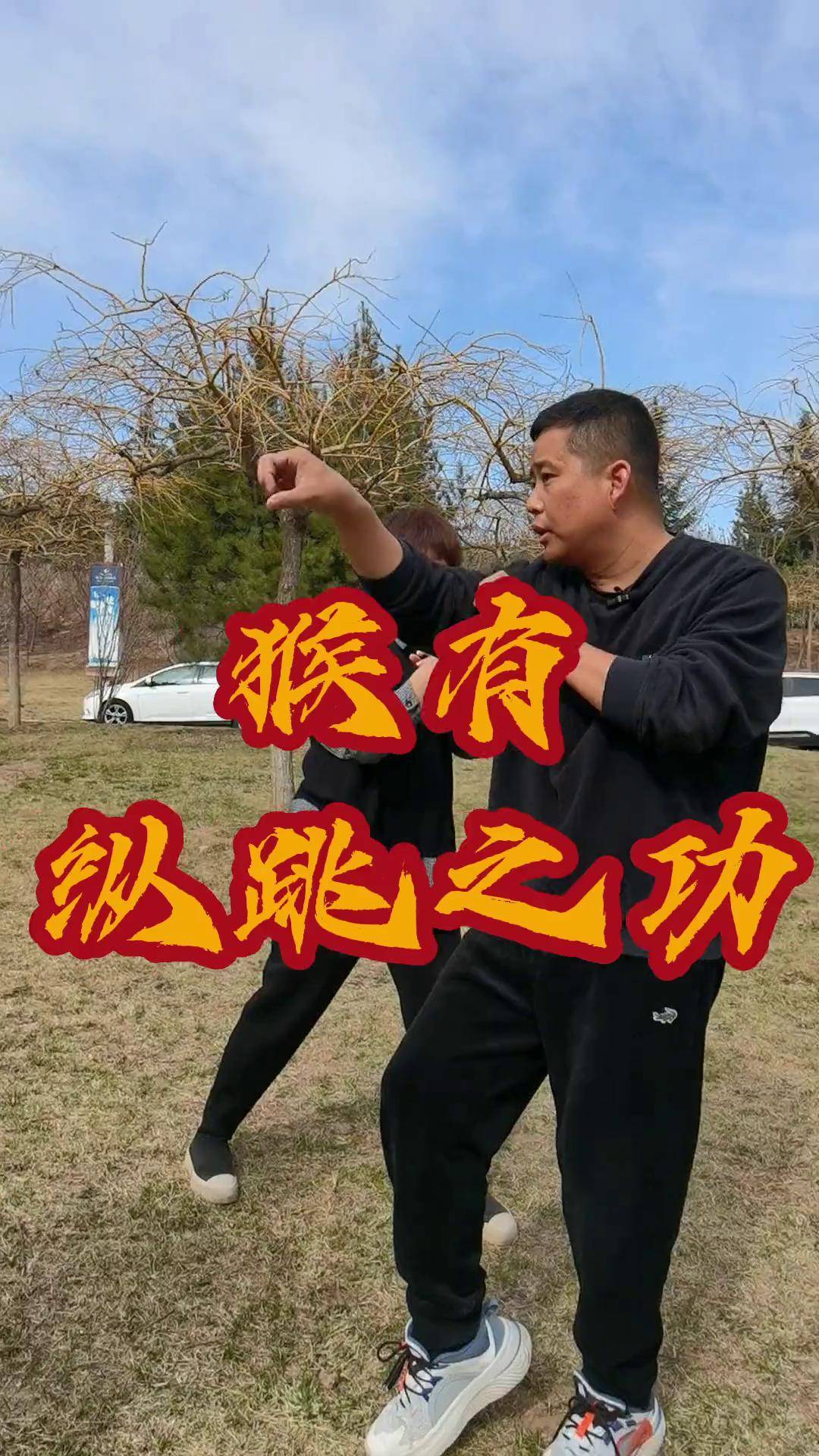 形意拳猴形妙法形意拳李一平