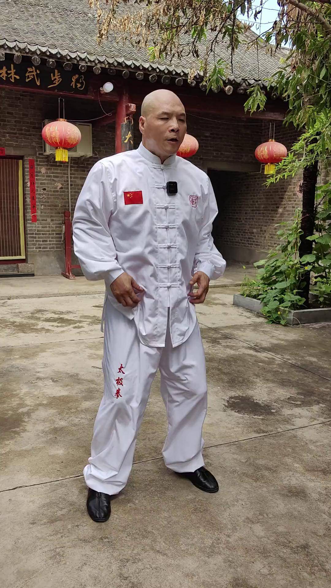 —真正的四十八式散手王战军 太极 四十八式散手