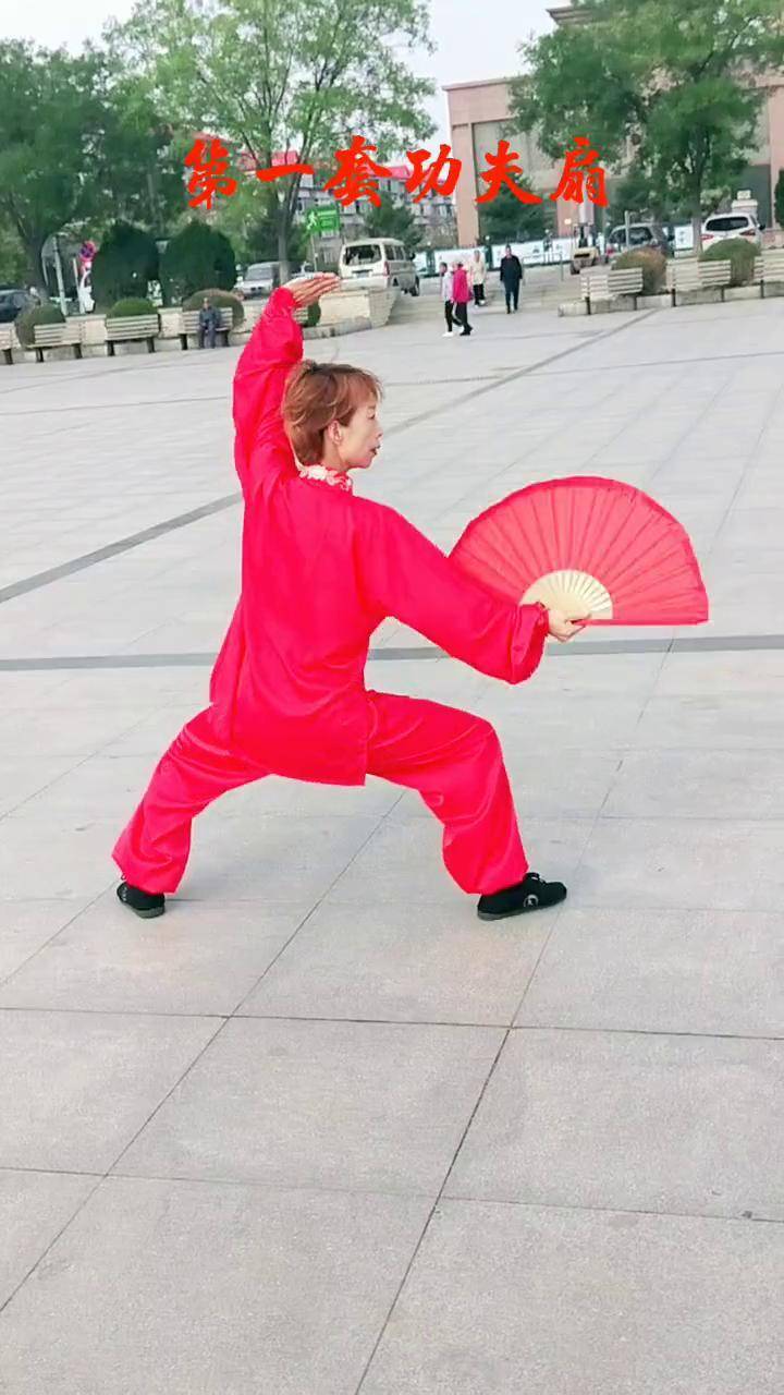 养生太极掌二套背向演练(养生掌第二套背向口令分解)