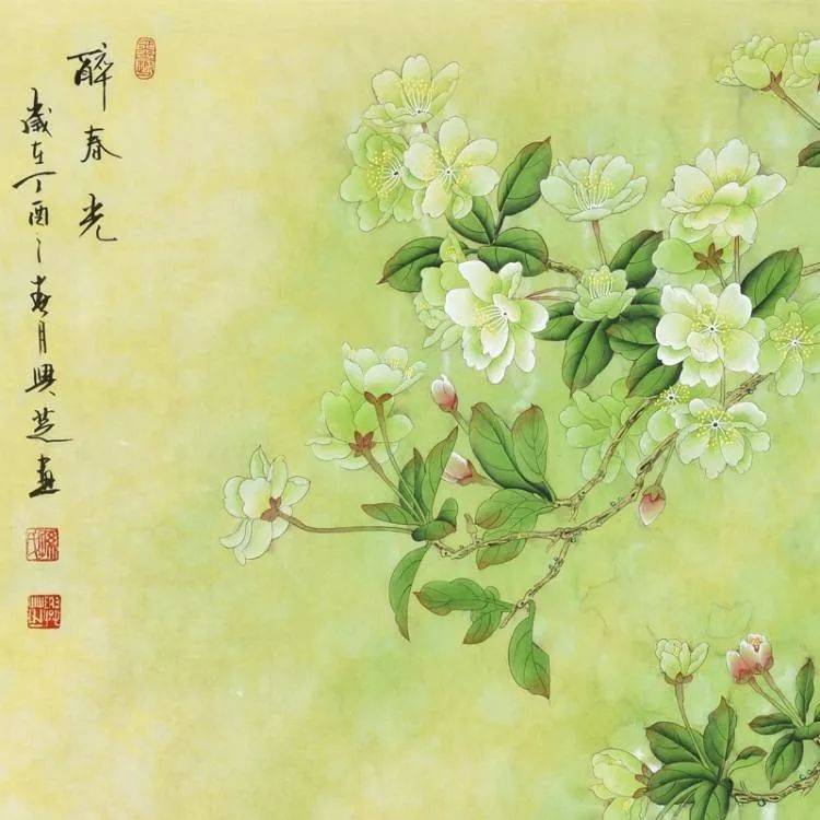 这组工笔花鸟画,工整典雅,色彩绚丽!