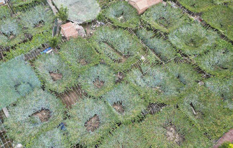 首都两区建设全媒体采访行