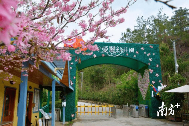 重走南粵古驿道、賞缤紛花海…來梅江區體驗鄉村遊推薦這樣玩