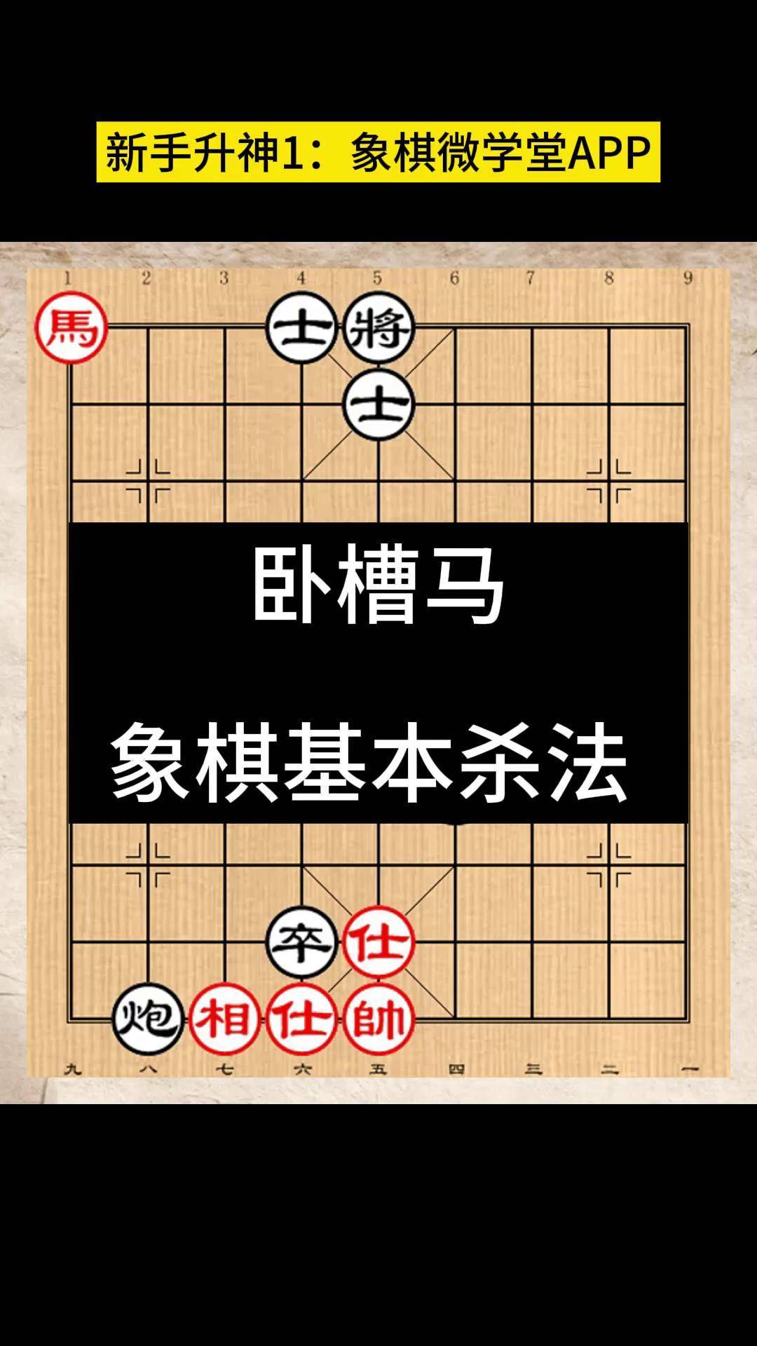 李晓成《象棋基本杀法-打牢象棋基础,快速提高棋力》 卧槽马杀象棋
