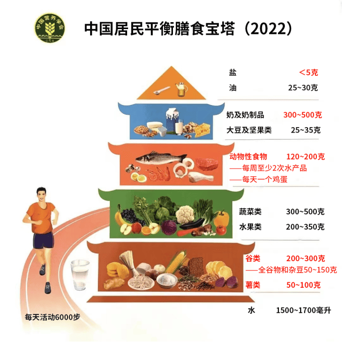 2021膳食宝塔模型图片