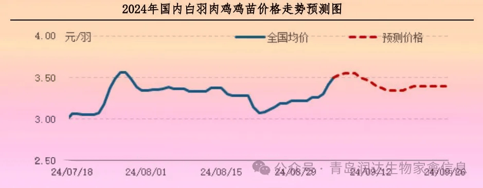 肉鸡市场行情:鸡苗价格走高,毛鸡价格持稳运行(20240830