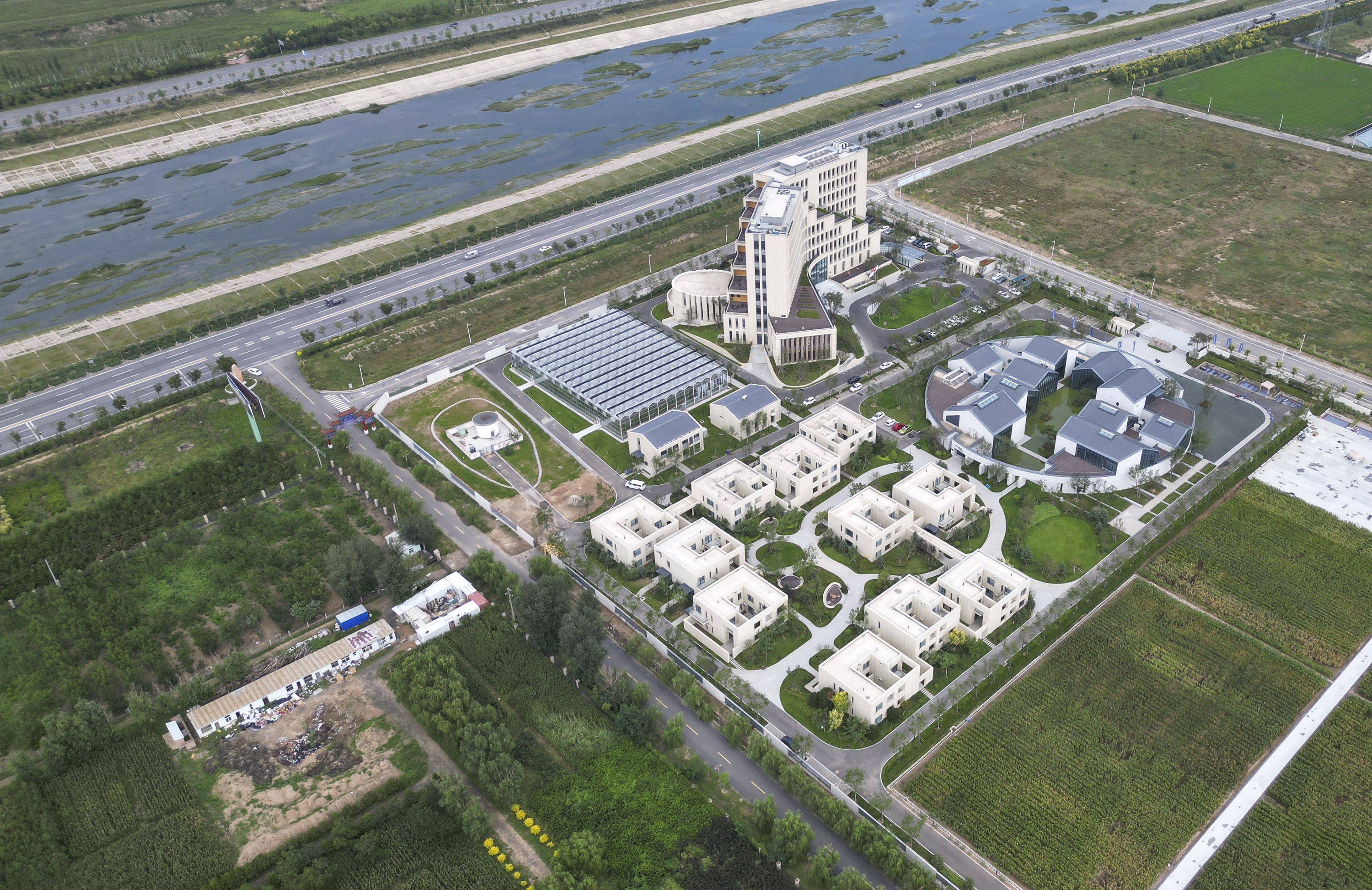 "张杂谷"种植已覆盖16省区4000万亩_杂交_赵治海_张家口