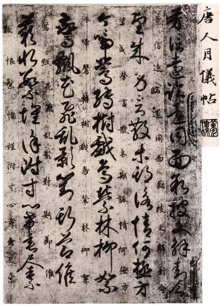 这可能是最好的草书入门帖了_搜狐网
