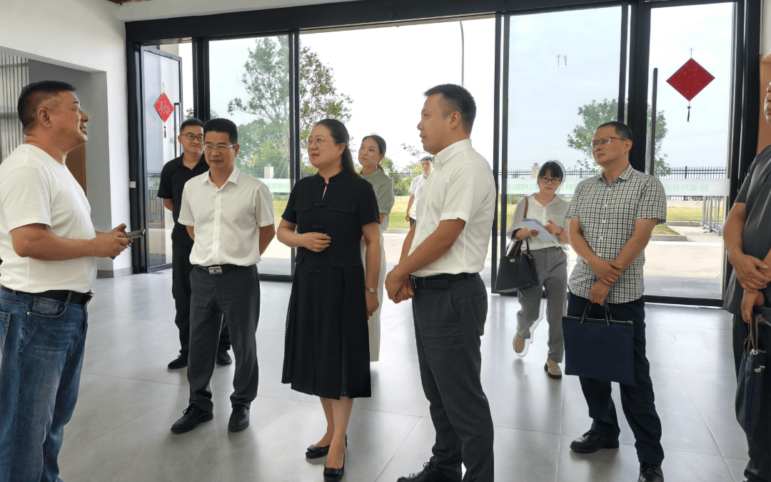助企惠民 有感有得 | 王丹局长带队赴洞头开展“三服务”活动_工作_企业_调研