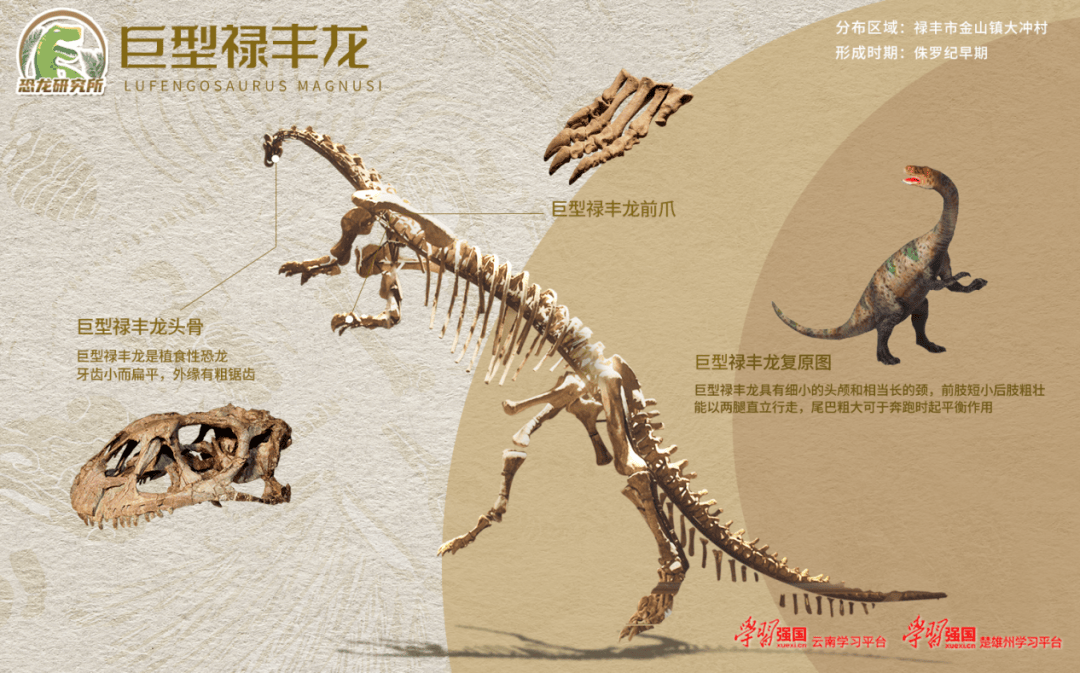 恐龙研究所