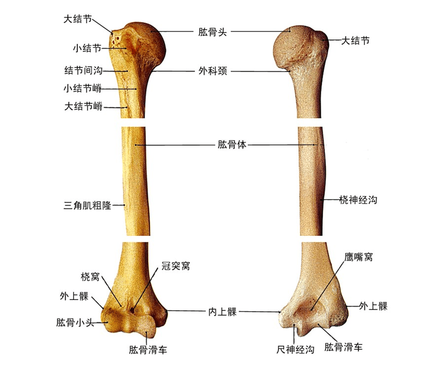 帮助他们站起来,需要