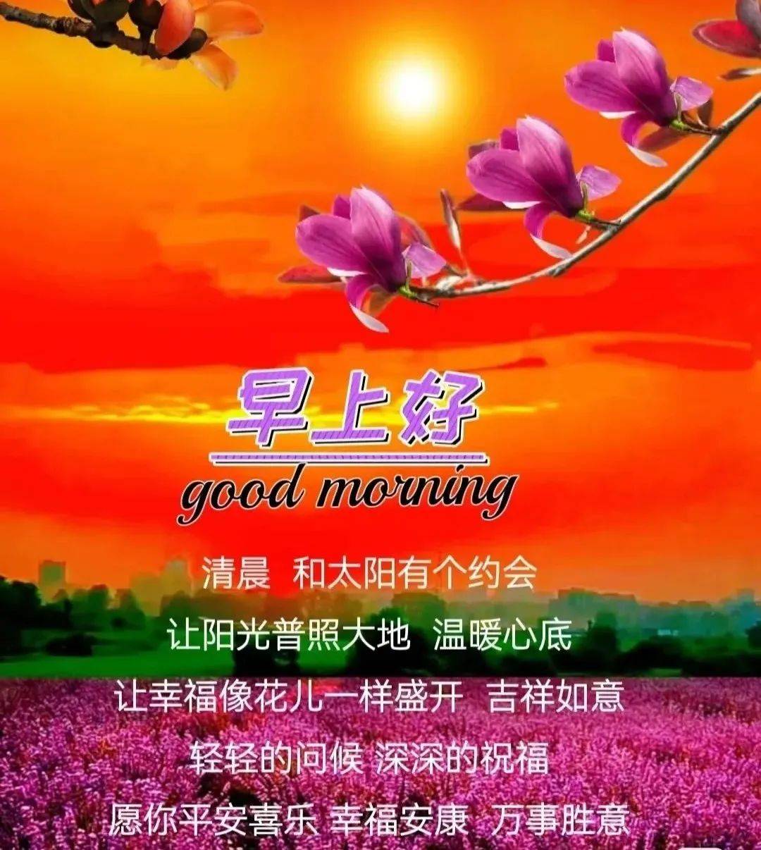 每日最新早上好问候语,朝朝暮暮,快乐留住