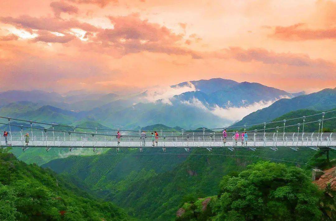 【安吉云上草原度假村·半山隐竹酒店】2天1晚￥699元起享 隐竹主题房