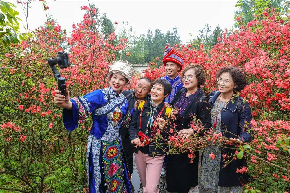 山村变山城，来看候鸟镜头中的苏马荡