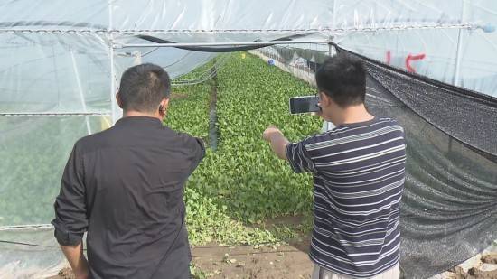 🌸岳阳日报【澳门王中王100%期期中】_飞速城市·泉州｜一季度经济“开门红” 播种未来产业“快生根”