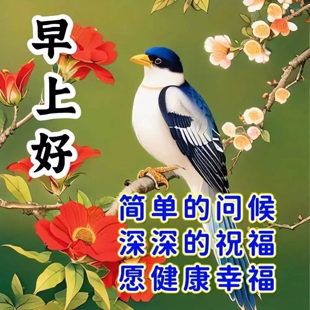 最新早上好表情包