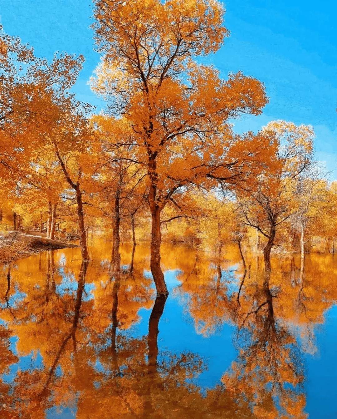 78返程啦,一起坐车回到嘉峪关,结束额济纳之旅tips①10月初内蒙已经