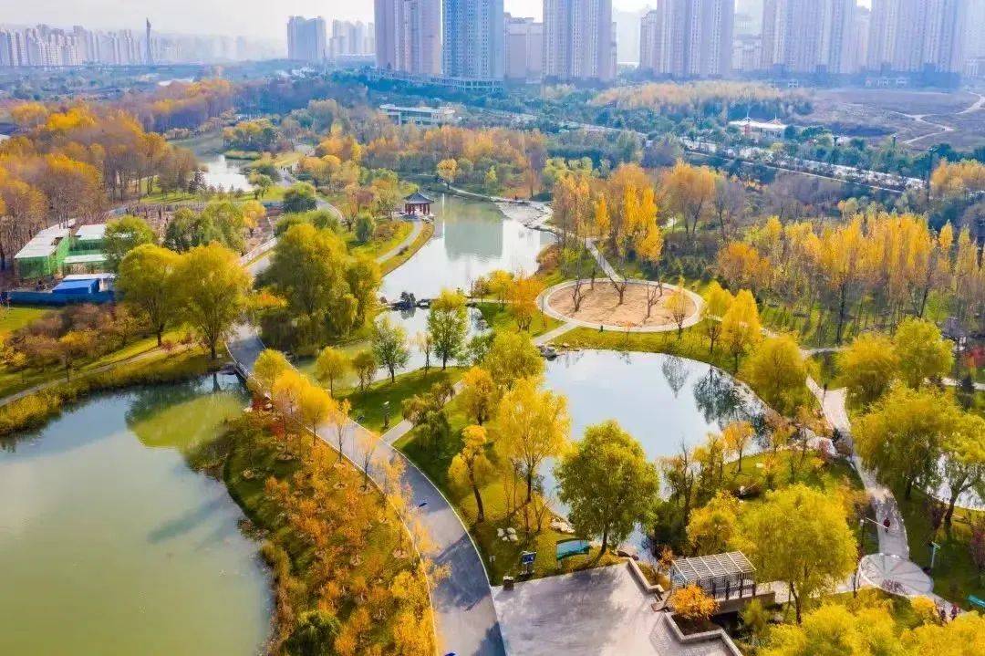 跟着抱抱游西区——湟水国家湿地公园