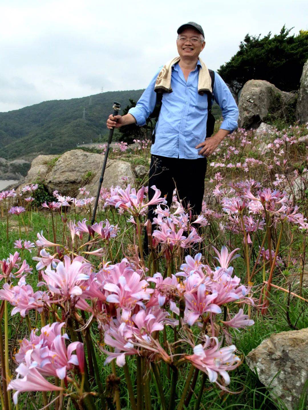一个开满换锦花的海岛,会美成什么样子?_石蒜_草木_象山