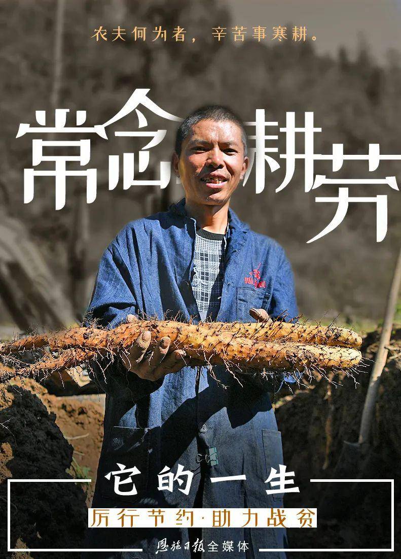 贫困”已成为过去时。一分耕耘，一分收获土地会给付出的人们应得的回报厉行节约，拒绝浪费让我们为巩固脱贫
