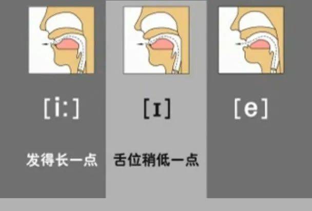 英语音标｜快速记忆法，发音的48个音标示范，看一遍全记住！_谐音_读音_元音