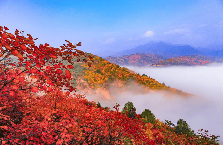 这个秋天来山西赏红叶,这些地方一定是最佳选择!