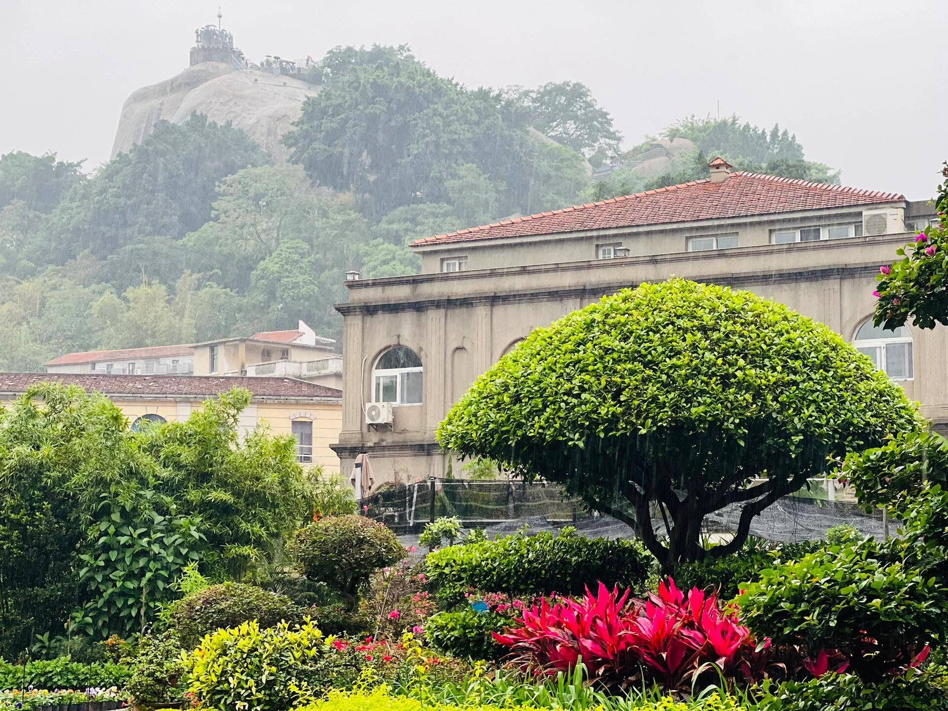 哈尔滨到厦门旅游团报价表，实惠出游！-第2张图片-旅游攻略网