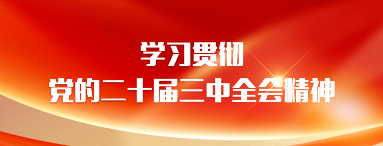 党的二十届三中全会精神应知应会 (2)_布局_参数_动画