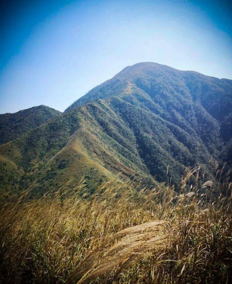 【国庆·石公穿雾】10月5晚