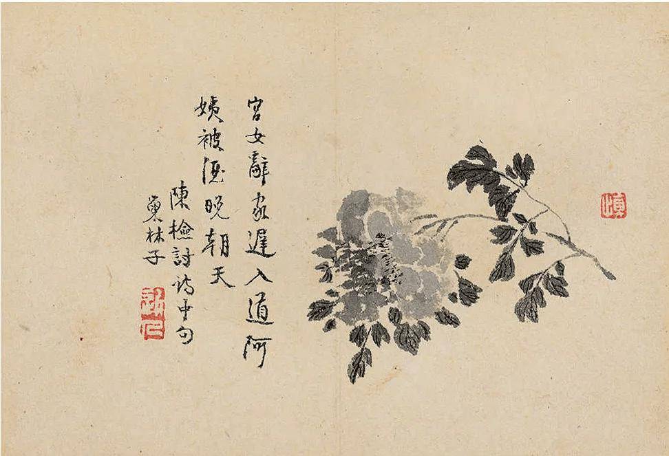 汪士慎《花卉册》,笔意隽秀