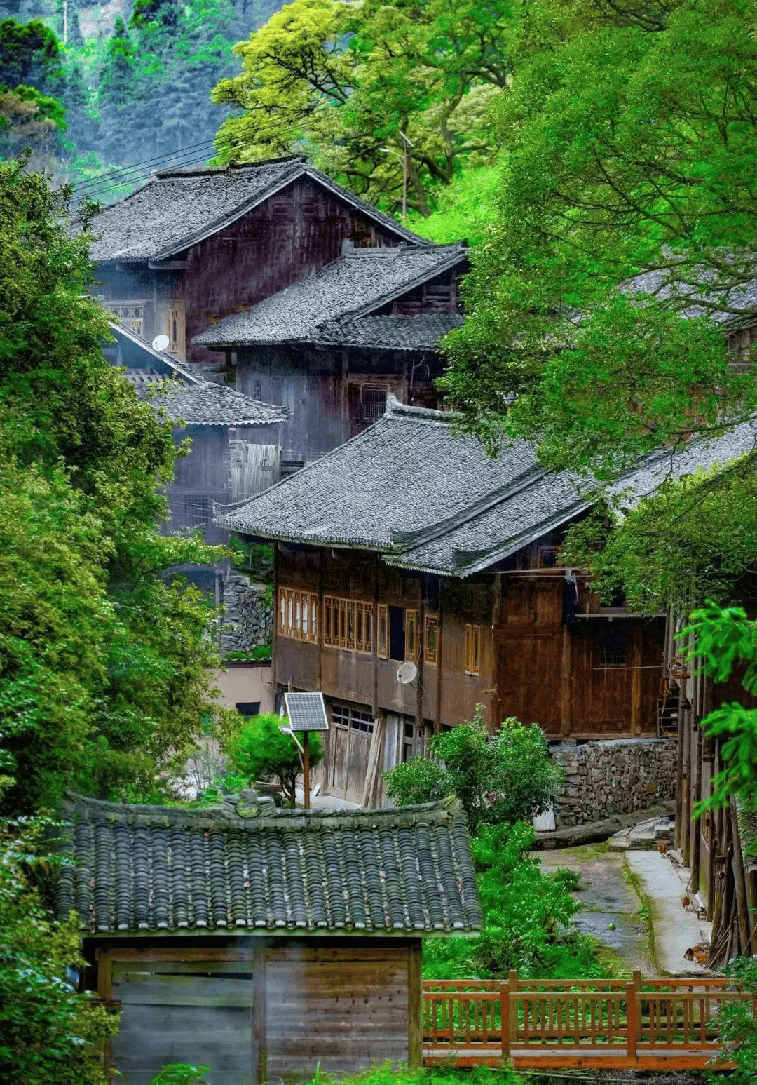 台江县红阳村图片